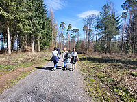 Kleine Gruppe unterwegs auf dem Waldweg