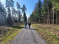 Wanderer auf einem Waldweg